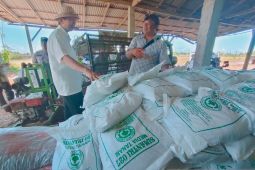 Kelompok Simantri di Kelating-Tabanan "banjir" pesanan pupuk organik