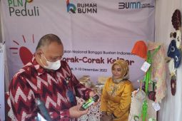 10 UMKM binaan PLN Kalbar mampu rambah pasar internasional