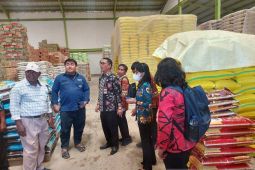 Pemkot Sorong pastikan stok minyak goreng bersubsidi aman