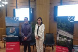 STB: Wisatawan Indonesia dominasi kunjungan ke Singapura