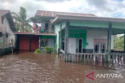 Ratusan rumah warga di Singkawang terendam banjir