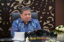 Menko Airlangga terus akselerasi peremajaan sawit rakyat