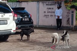 Mukomuko targetkan vaksinasi rabies pada 1.500 hewan peliharaan