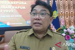 Papua calls for quick mitigation of telecommunications disruptions