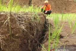 Ratusan jiwa di Jember terancam retakan tanah rawan longsor