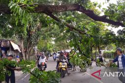BPBD: Kejadian bencana di Kota Sukabumi pada Februari 2023 alami lonjakan