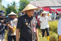 Wakil gubernur: Tidak ada beras impor masuk ke Sulteng