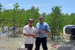 Mewujudkan ekonomi biru melalui laut sehat di Bangka Belitung
