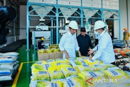 Kemarin, Presiden minta Bulog serap gabah hingga JICT modernisasi