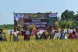 Pada Maret, 18.329 hektare sawah di Majalengka panen