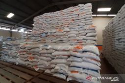 Alasan Bulog baru serap 35 ribu ton gabah dari panen raya