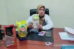 Stok beras Bulog Rejang Lebong Bengkulu mencapai 425 ton