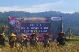Bey ingin Satgas Pangan optimal genjot produktivitas