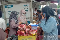 Bulog Rejang Lebong Bengkulu siapkan 2,9 ton daging beku