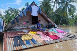 BNPB: Banjir Musi Rawas sebabkan 8.227 jiwa terdampak