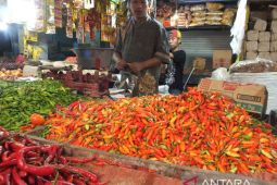 Jelang Ramadhan, harga cabai rawit di  Jember meroket