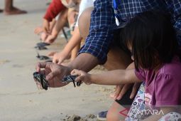 PSKP Lampulo lepas liarkan puluhan tukik di pantai Aceh Besar, patut diapresiasi