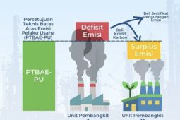 Data satelit untuk perdagangan karbon
