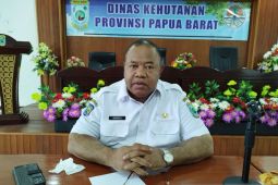 Dishut Papua Barat segera serahkan aset kehutanan ke Pemprov PBD