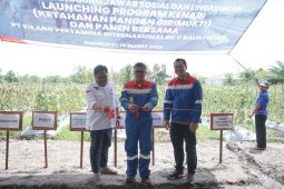 Pertamina bantu petani Penajam rumah pembibitan dengan  panel surya