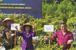 Perumda Buleleng tambah pasokan cabai cegah inflasi