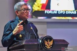 Pemkab: Usia harapan hidup di Malra capai 70,93 tahun