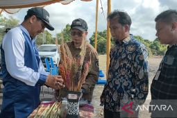 Bupati Bangka Tengah ajak petani budidayakan tanaman sorgum