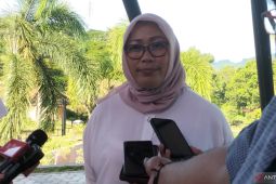 Pemudik diimbau membeli tiket dari jauh hari