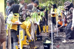Dishut Kalsel tanami lahan tidur gelorakan Revolusi Hijau