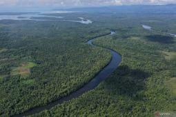 MUTU International terbitkan 105 sertifikat karbon