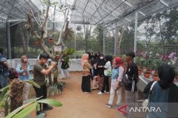 Program Greenhouse Anggrek Pertamina Pilihan Destinasi Eduwisata di Pangkalpinang
