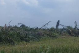 Terkait dugaan jual beli lahan Kebun Bulu Cina, PTPN-2 lapor ke Kejatisu