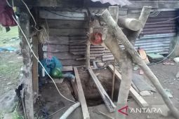 Tambang emas di Madina kembali makan korban