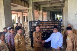 Pemkab Pidie gelar meugang akbar sambut Ramadhan, siapkan 26 ekor sapi untuk kaum dhuafa