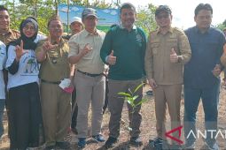 Pemkab Bangka Tengah tanam pohon serentak peringati Hari Desa Asri Nusantara