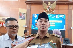 Wabup Kapuas Hulu sebut pernikahan dini salah satu penyebab stunting