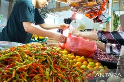 Harga cabai rawit di Gorontalo turun 12,5 persen