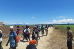 Ratusan warga antusias menyambut kedatangan Presiden Jokowi di lokasi food estate