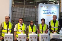 Produsen sawit Indonesia  bantu benih ke Honduras