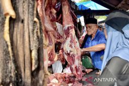 Masa "meugang" Ramadhan 1444 H di Sabang sembelih 50 sapi dan dua kerbau