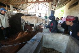 Kelompok tani Banyuwangi mulai lepas ketergantungan pupuk bersubsidi