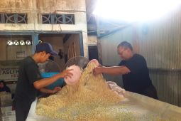 Usaha tempe Tabalong omsetnya capai Rp20 juta per hari