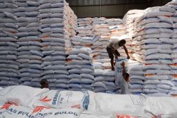 Panen raya impor, dan harga beras wajar