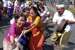 Keseruan tarik tambang dalam Tradisi Mbed-Mbedan di Bali