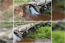 Ketua DPRD minta pemkab segera perbaiki jembatan Mahang-Beriut