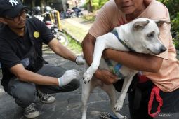 Tiga hal utama untuk cegah penyebaran virus rabies