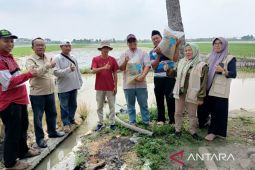 Pemkab Bekasi salurkan bantuan benih dari Kementan