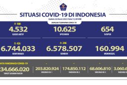 Angka kesembuhan COVID-19 di Indonesia bertambah 246 orang