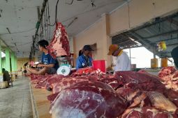 Harga daging sapi dan ayam potong di Ternate  bertahan
