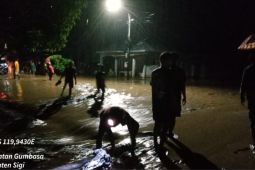 BPBD: 64 rumah terendam banjir di Sigi-Parigi Moutong